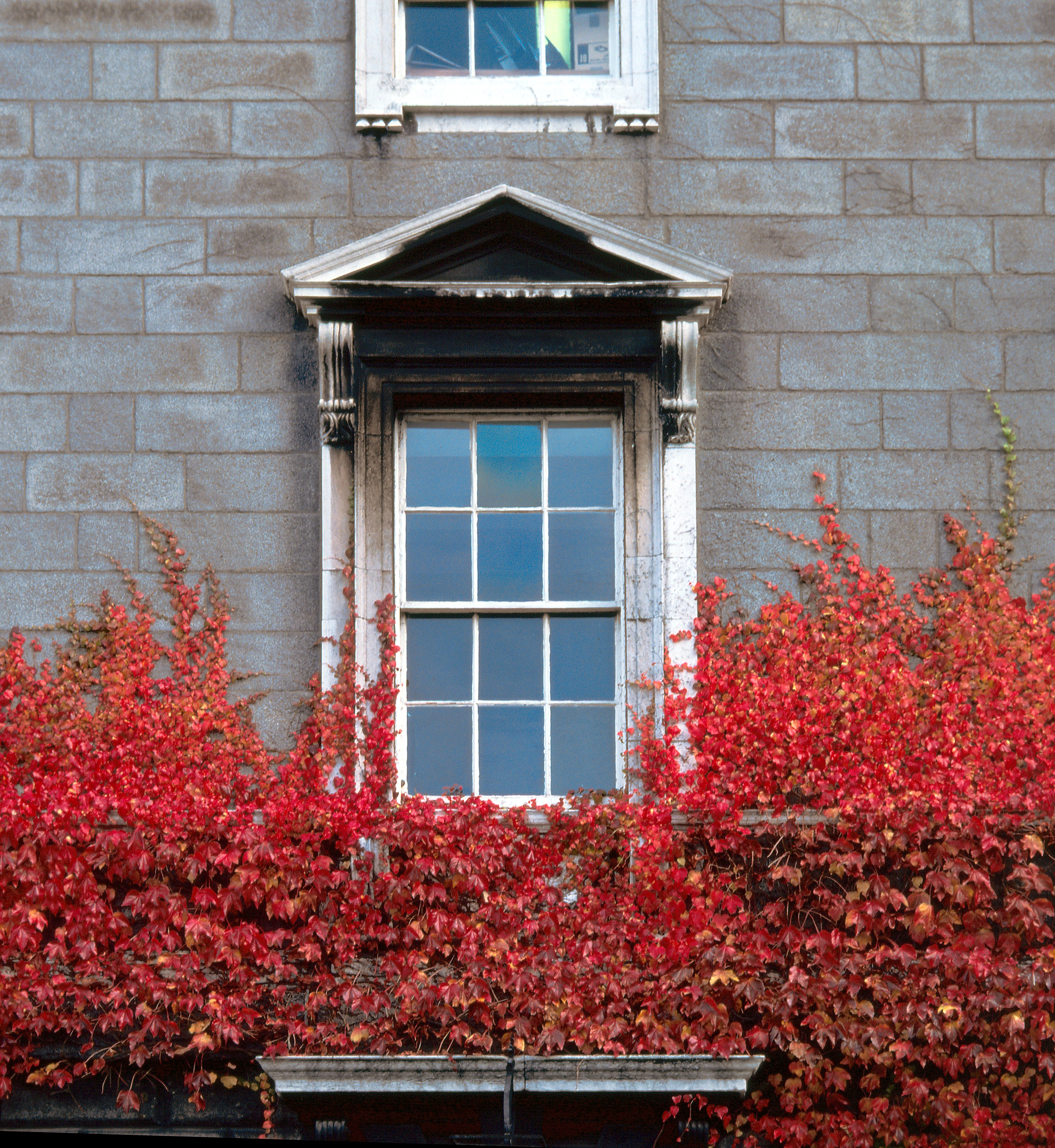 7 ways to learn languages at Trinity campus