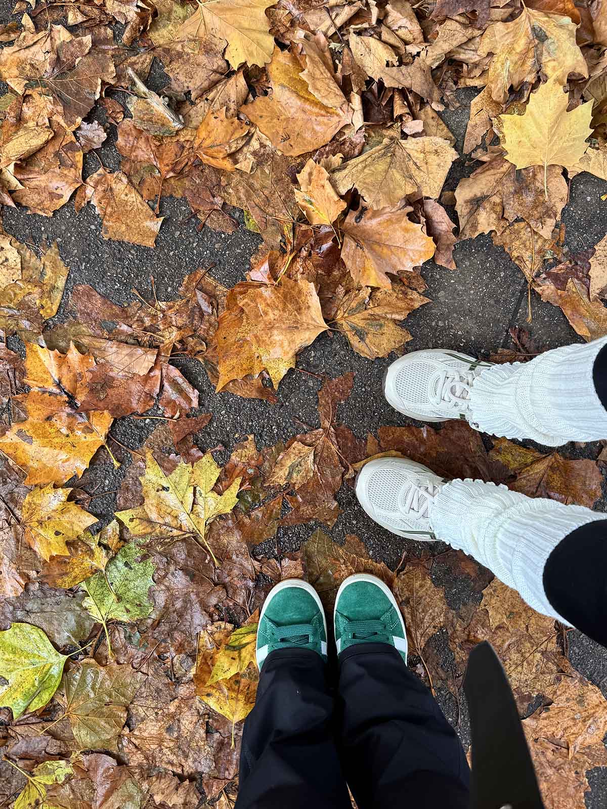 Finding Light in the Winter Months: Coping with the “Winter Blues” as a Student